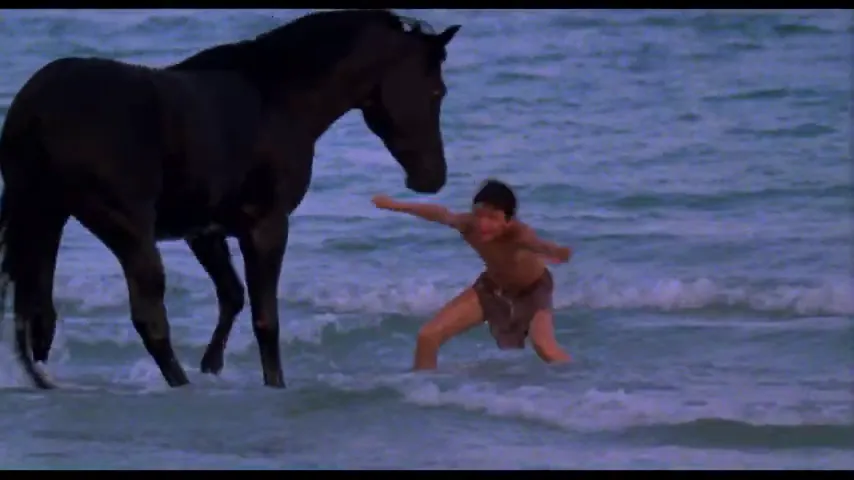 The Black Stallion Scene 2
