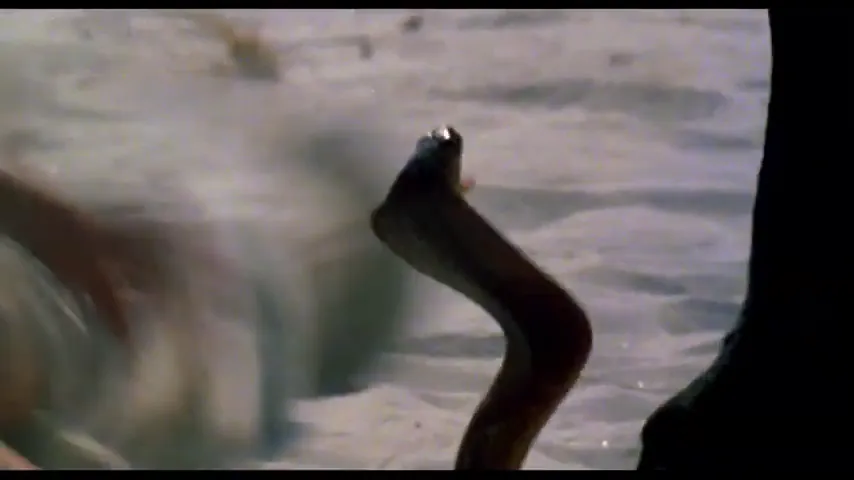 The Black Stallion Scene 3