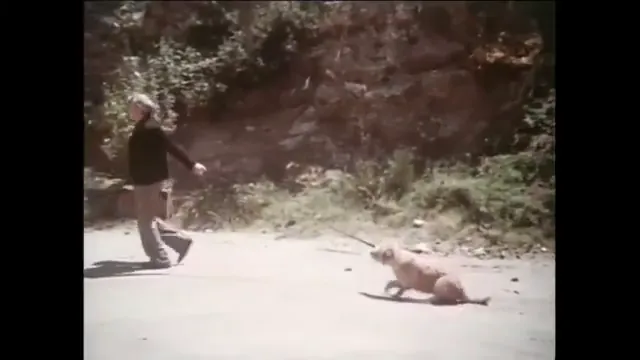 The Jerk Scene 2