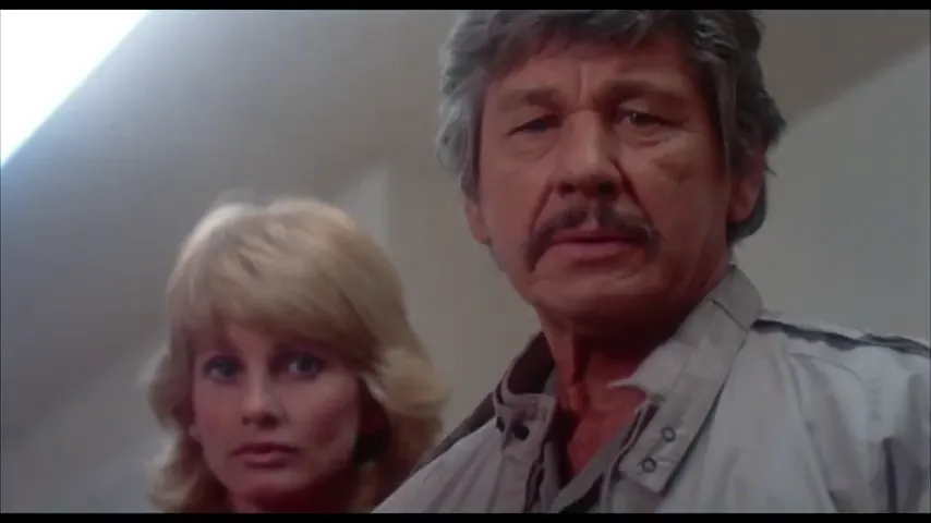 Death Wish II Scene 2