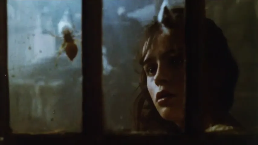 The Company of Wolves Scene 2