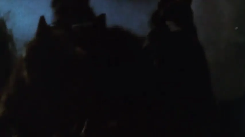 The Company of Wolves Scene 4