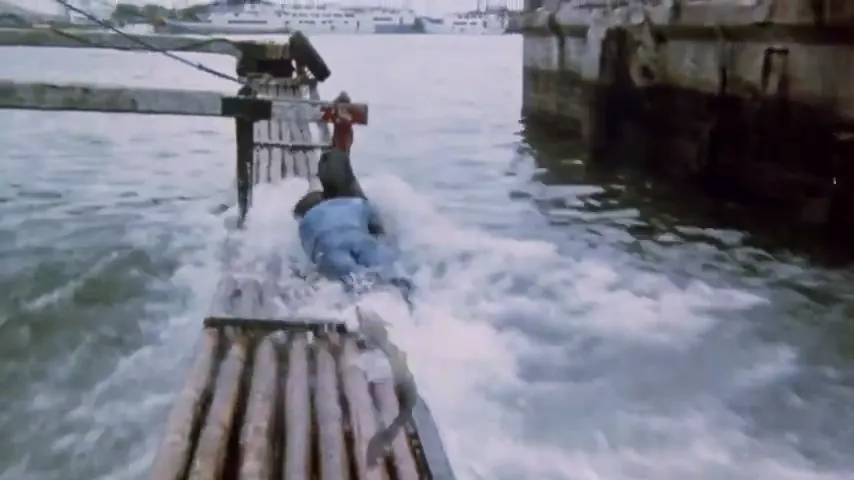 Missing in Action Scene 1