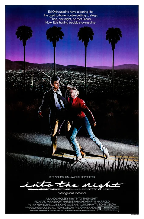 Into the Night Movie Poster