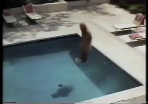 Down and Out in Beverly Hills Scene 1