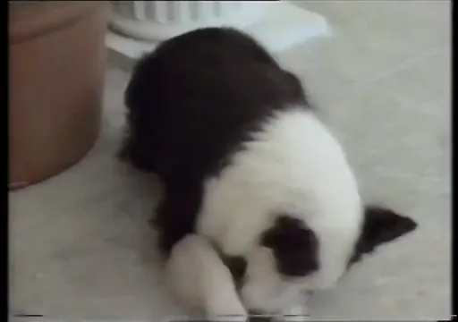 Down and Out in Beverly Hills Scene 2