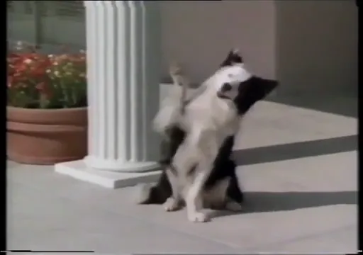 Down and Out in Beverly Hills Scene 5