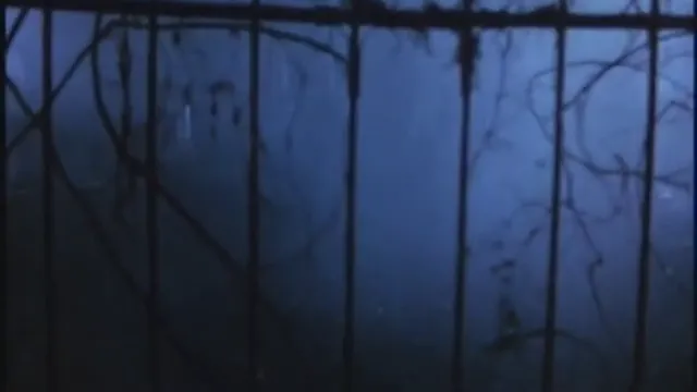 Friday the 13th Part VI: Jason Lives Scene 2