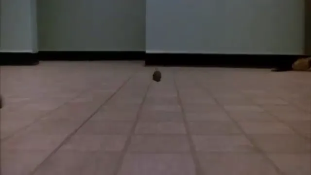 Night of the Creeps Scene 3