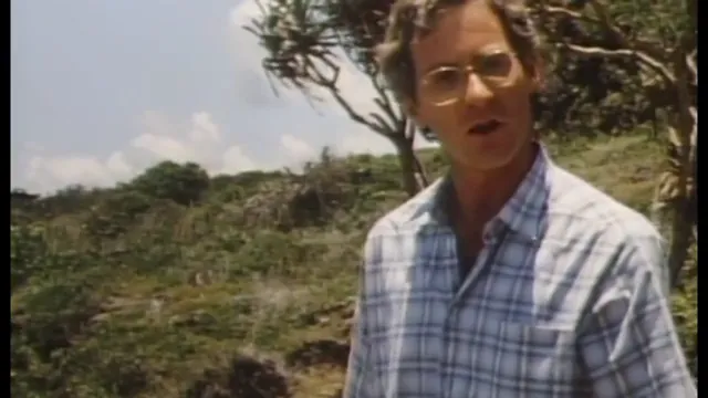 Cry Freedom Scene 5