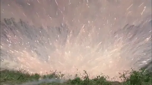 Hamburger Hill Scene 1