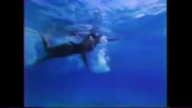 Jaws: The Revenge Scene 1