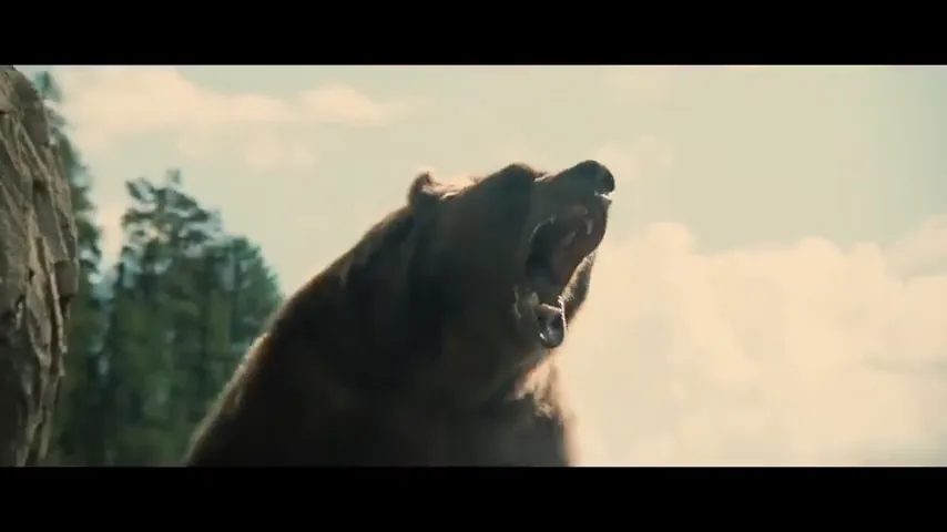 The Bear Scene 3