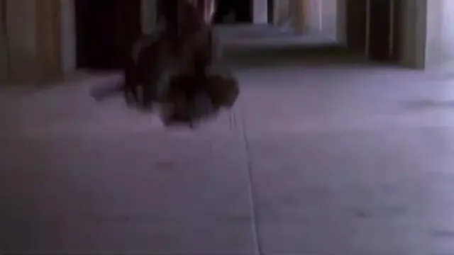 Cyborg Scene 3