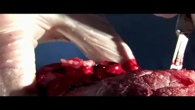 Internal Affairs Scene 3