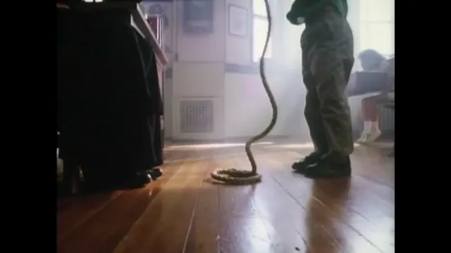 Problem Child Scene 1