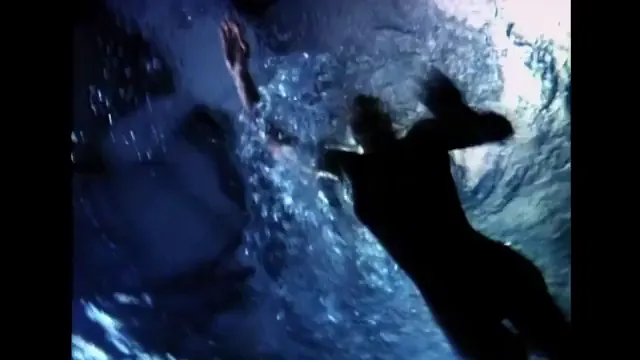 Sleeping with the Enemy Scene 2