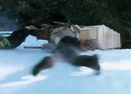 White Fang Scene 4