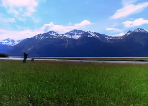 White Fang Scene 5