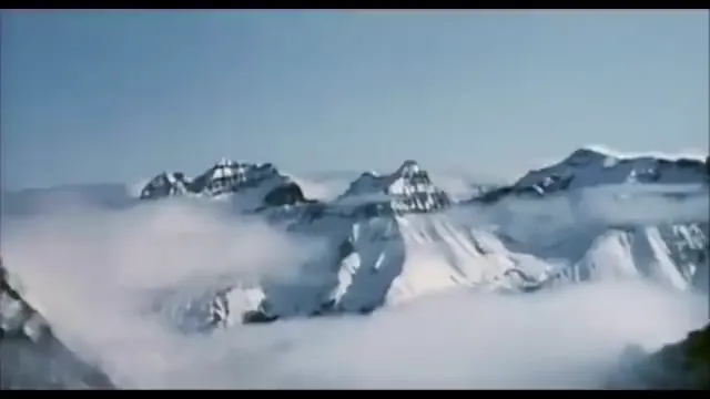 Alive Scene 2