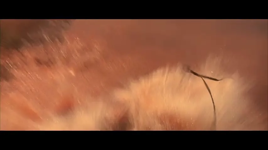Geronimo: An American Legend Scene 2