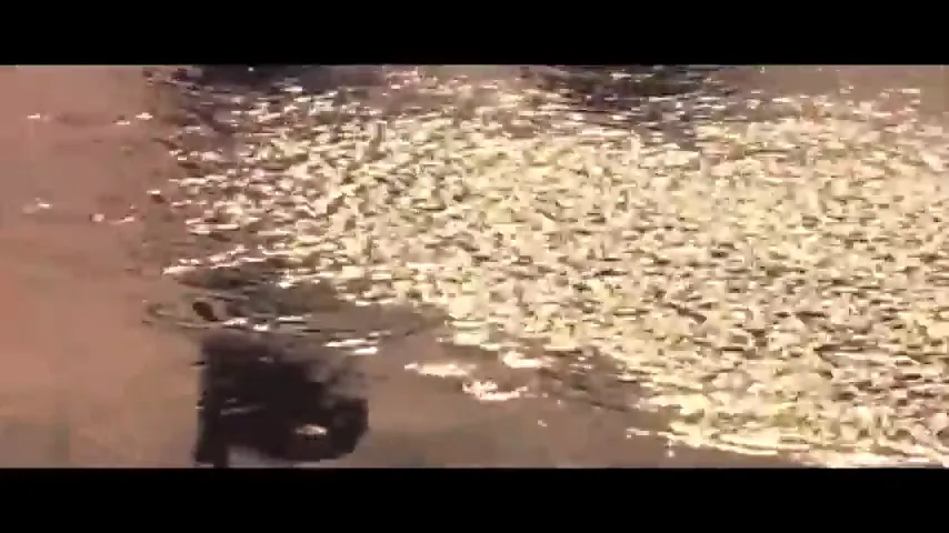 Heaven & Earth Scene 1