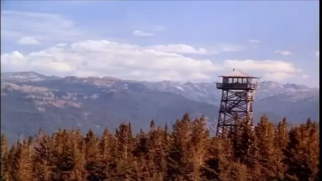 Homeward Bound: The Incredible Journey Scene 3