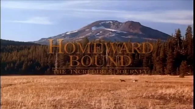 Homeward Bound: The Incredible Journey Scene 5