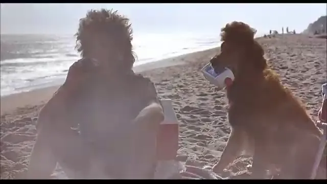 National Lampoon's Loaded Weapon 1 Scene 2