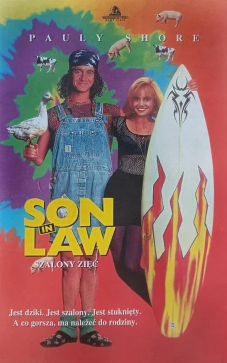 Son in Law Movie Poster