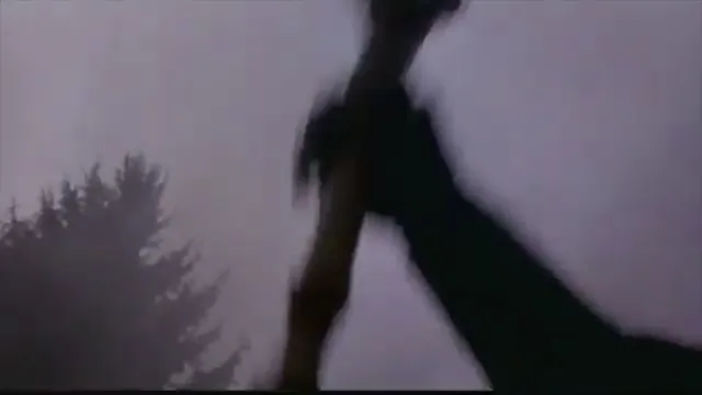 Teenage Mutant Ninja Turtles III Scene 2