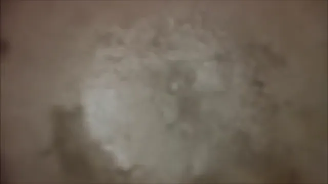 Mary Shelley's Frankenstein Scene 2