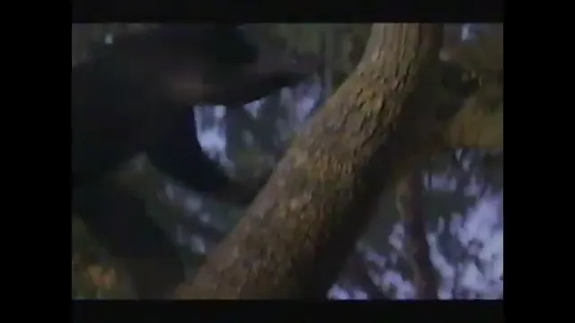 The Jungle Book Scene 2