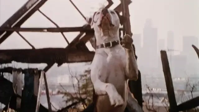 The Little Rascals Scene 3