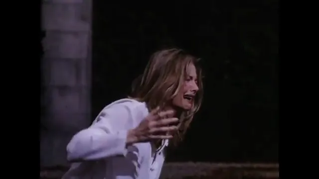 Wolf Scene 5