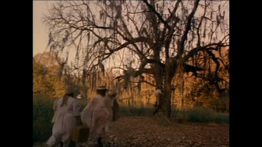 The Grass Harp Scene 3