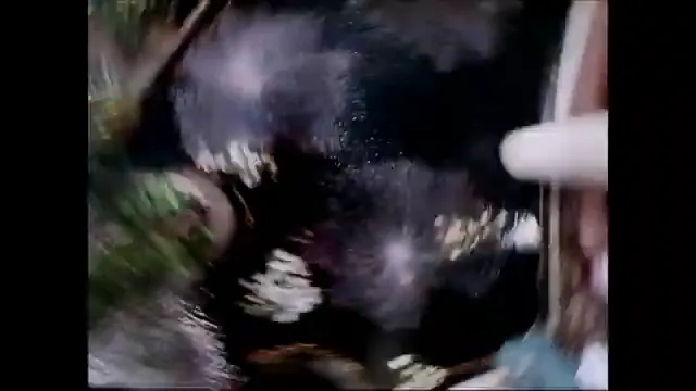 Nick of Time Scene 5