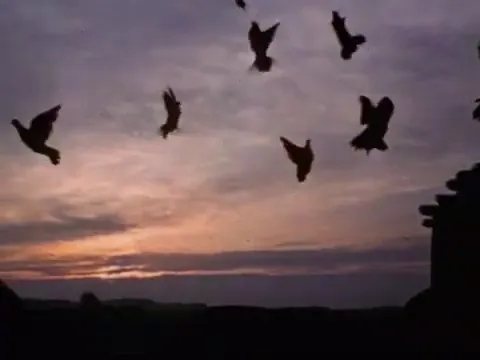 The Prophecy Scene 5