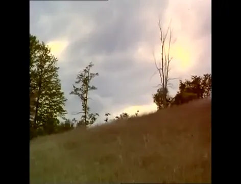 Fly Away Home Scene 1