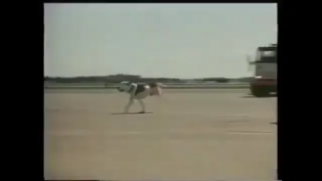 Homeward Bound II: Lost in San Francisco Scene 1