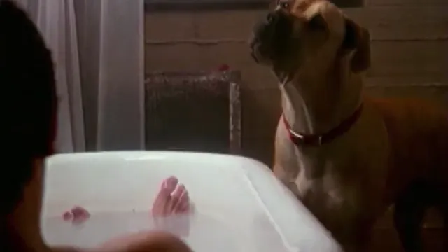 The Truth About Cats & Dogs Scene 3