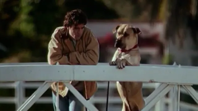 The Truth About Cats & Dogs Scene 5