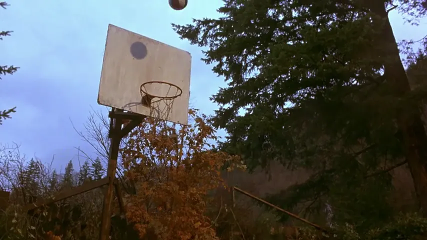 Air Bud Scene 2
