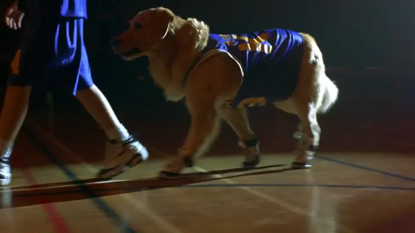 Air Bud Scene 3