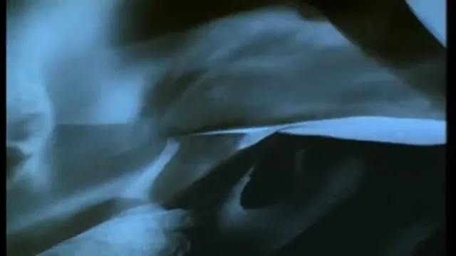 The Horse Whisperer Scene 1