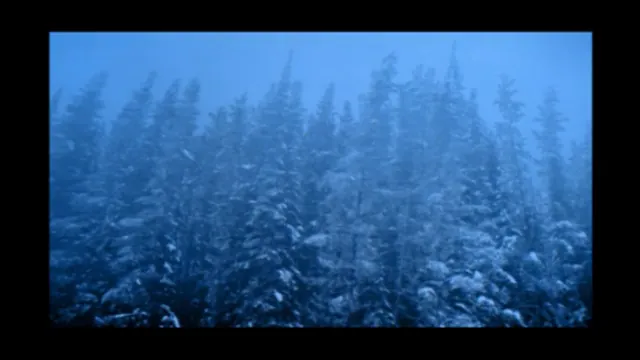 Snow Falling on Cedars Scene 4