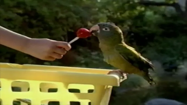 Paulie Scene 2