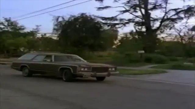 Paulie Scene 3