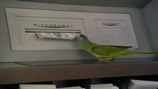 Paulie Scene 5
