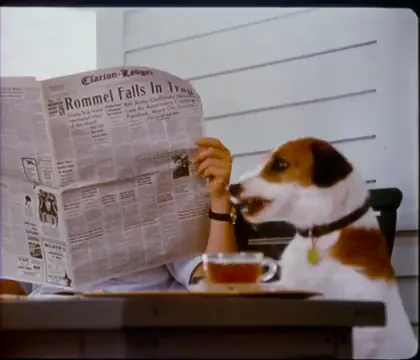 My Dog Skip Scene 2